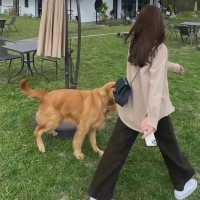 母亲的罪爱